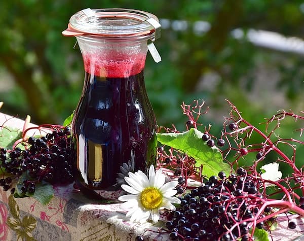 elderberry syrup for infants
