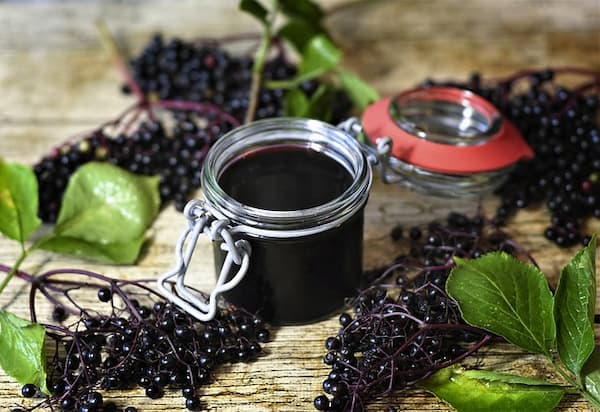  Elderberry Syrup for Babies 